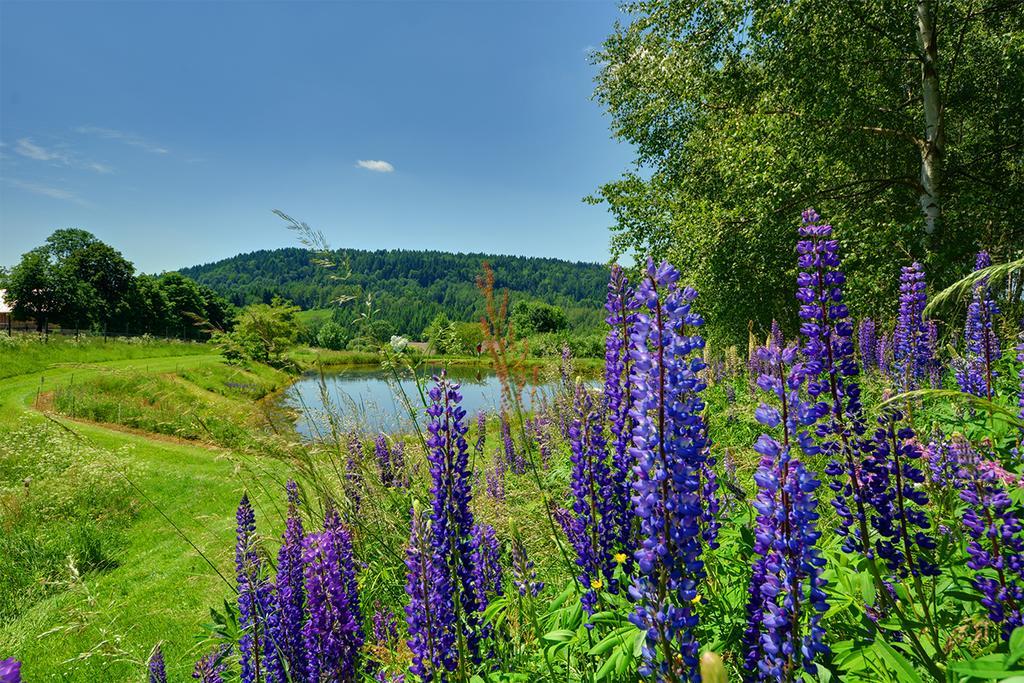 Rezydencja Bukowy Dwor ชาร์ดนา ภายนอก รูปภาพ